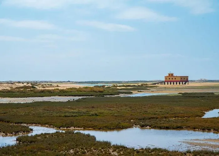 2bedroom House Cozy Typical Restored Single Storey 5 Min From The * Fuzeta